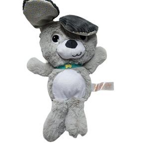 Bright Starts Peek a Boo Gray Puppy Dog Giggles Sound Baby Plush AM3129
